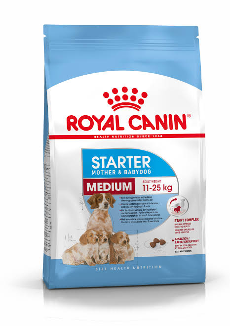 Medium Starter แม่และลูกสุนัขพันธุ์กลาง 1Kg.