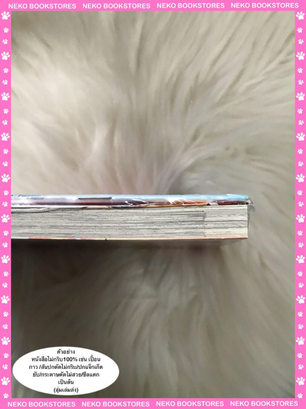 Special Set เป็นเพื่อนสมัยเด็กต่อไปไม่ไหวแล้วครับ เล่ม 3