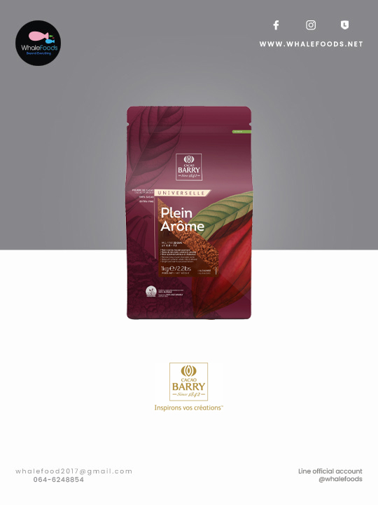 Cacao Barry Powder Plein Arome (Dark Brown#2)