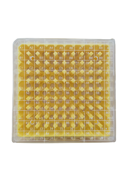 กล่องเก็บหลอดไมโครทิวป์ สำหรับแช่แข็ง 100 ช่อง Cryovial Storage Box 100-well