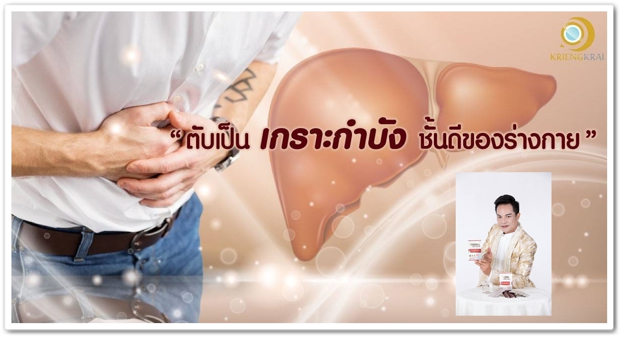 หน้าที่ตับ