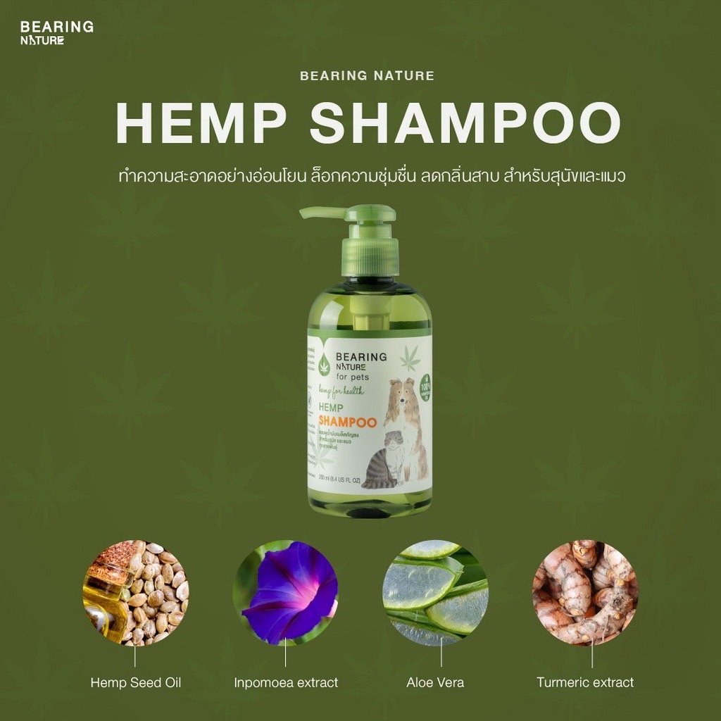 Bearing Nature แชมพูเมล็ดกัญชง 250 มล.