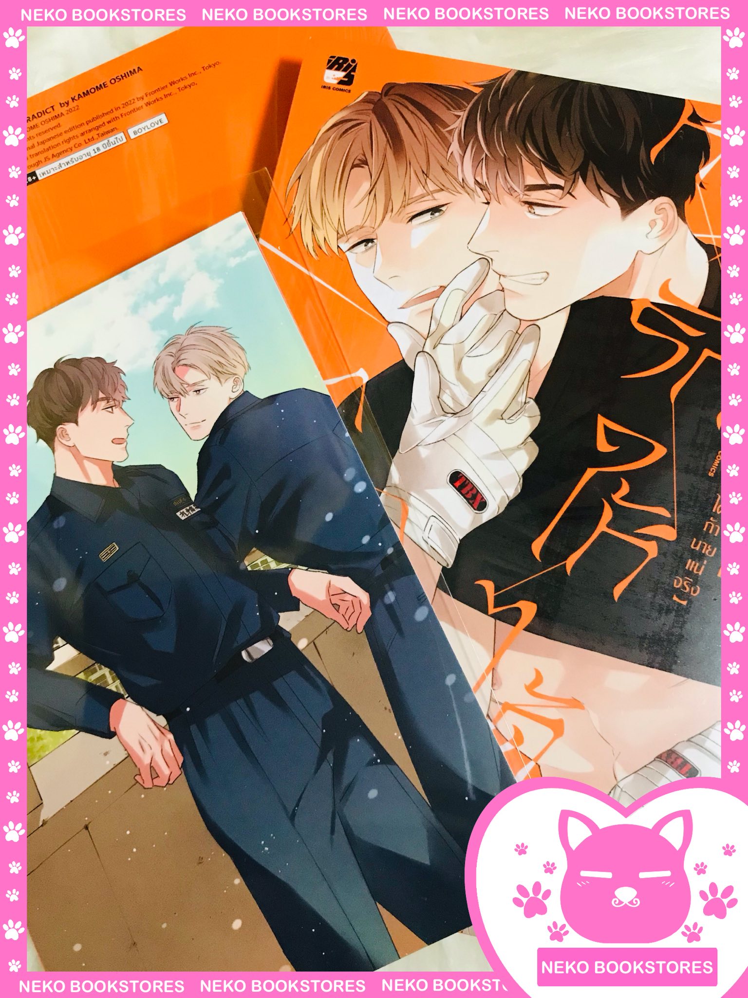 หยุดรักให้ได้ถ้านายแน่จริง (จบในเล่ม)