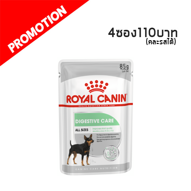 R/Y Digestive Care ช่วยย่อย 85 g.