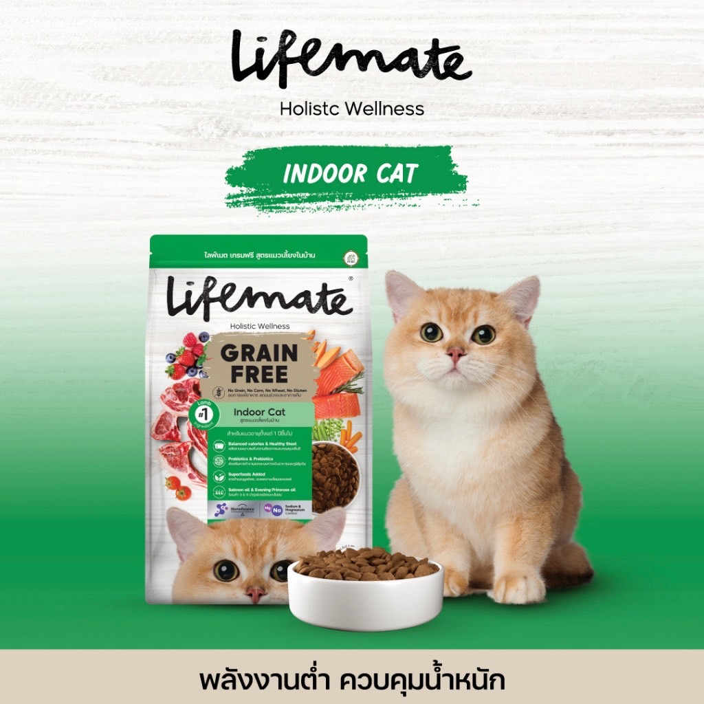Life Mate Grain Free C42 แมวเลี้ยงในบ้าน (แกะ) 1.2 กิโลกรัม