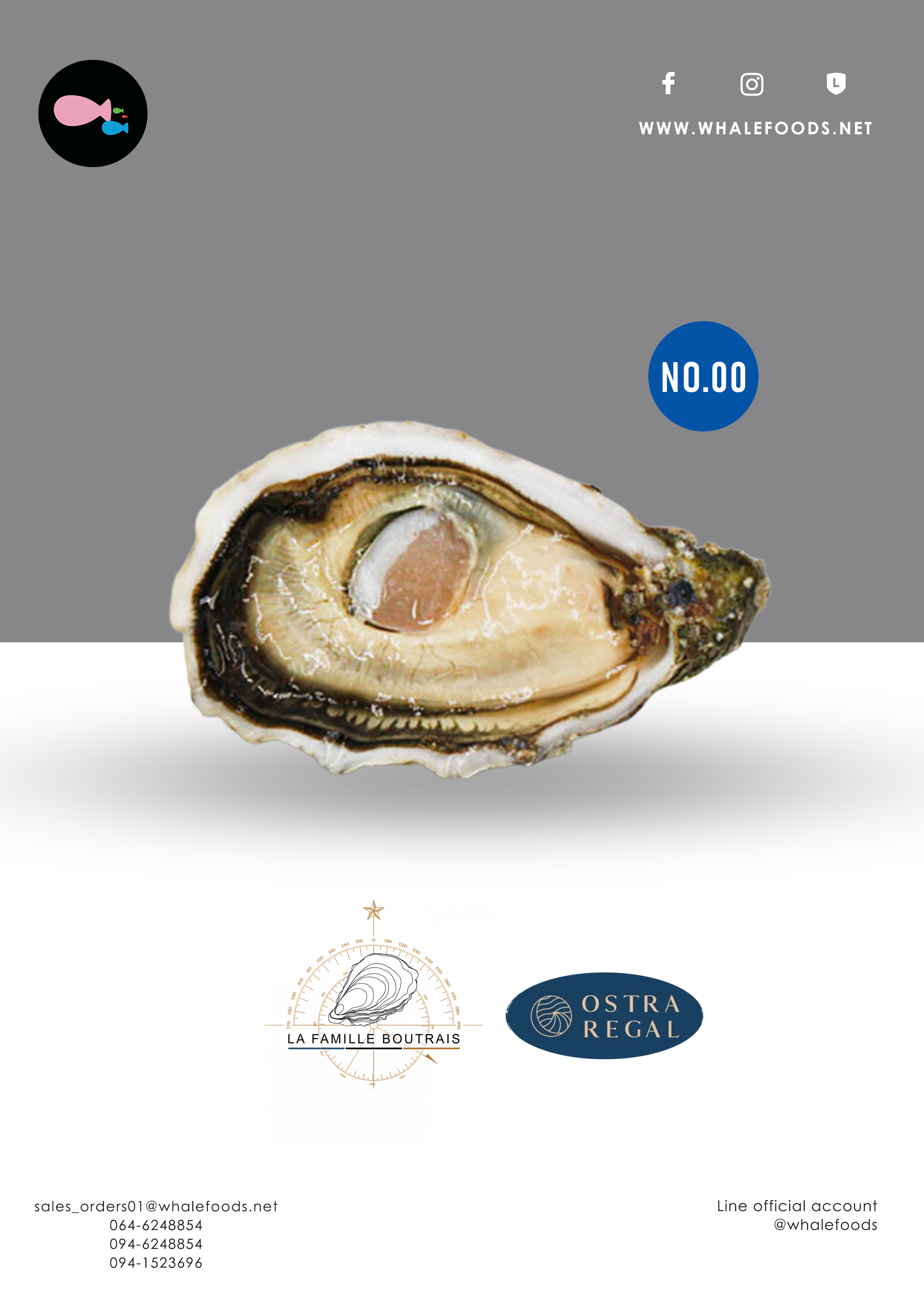 Ostra Regal