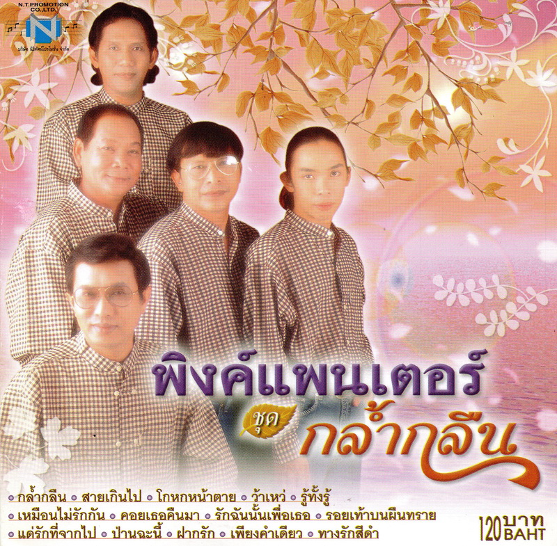 แผ่นซีดี เพลงไทย พิงค์แพนเตอร์ ชุด กล้ำกลืน