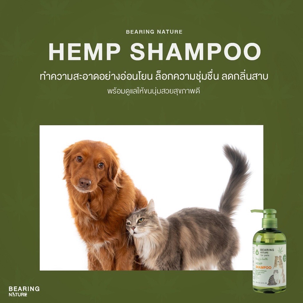Bearing Nature แชมพูเมล็ดกัญชง 250 มล.