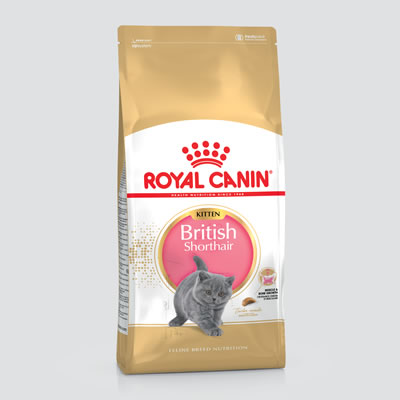 Royal canin (Kitten British Shothair ลูกแมวบริสติส) 400g.