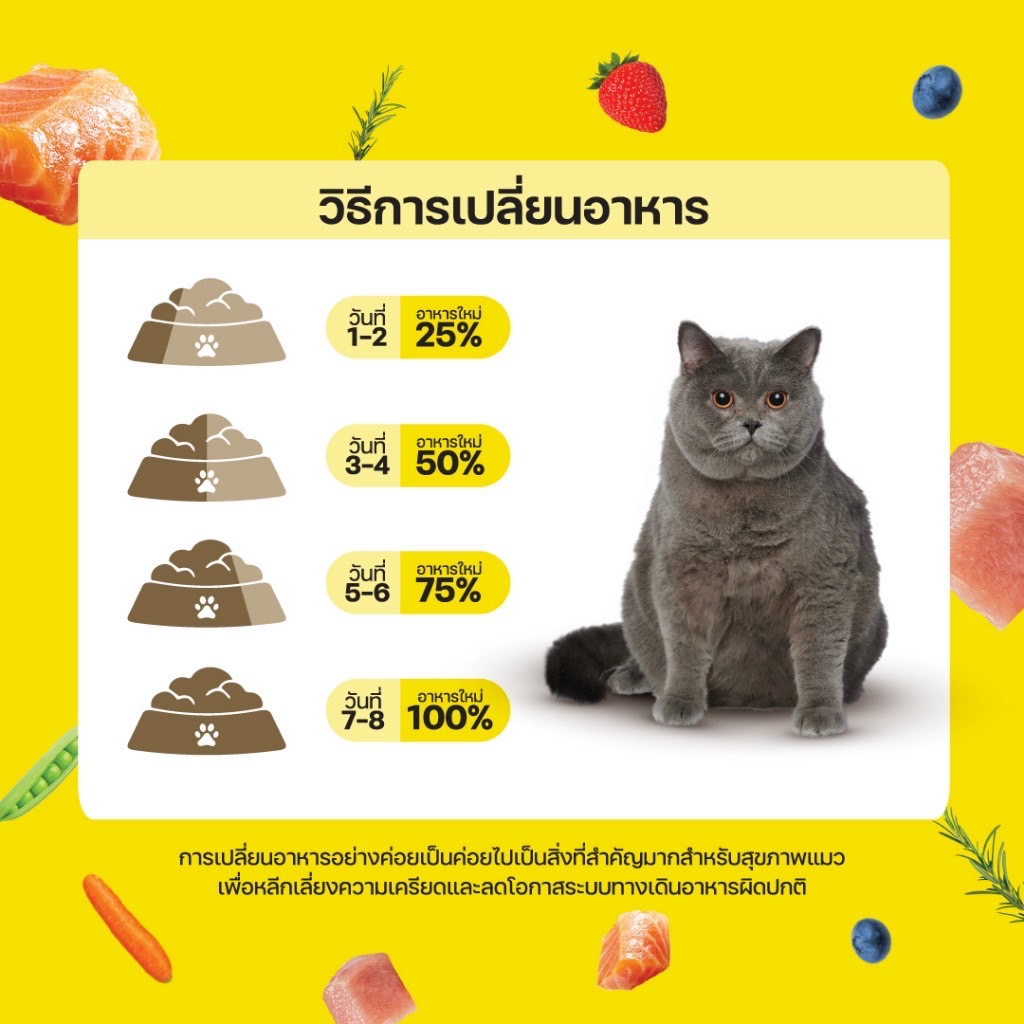 Life Mate Grain Free C22 ไก่และปลา 1.3 กิโลกรัม