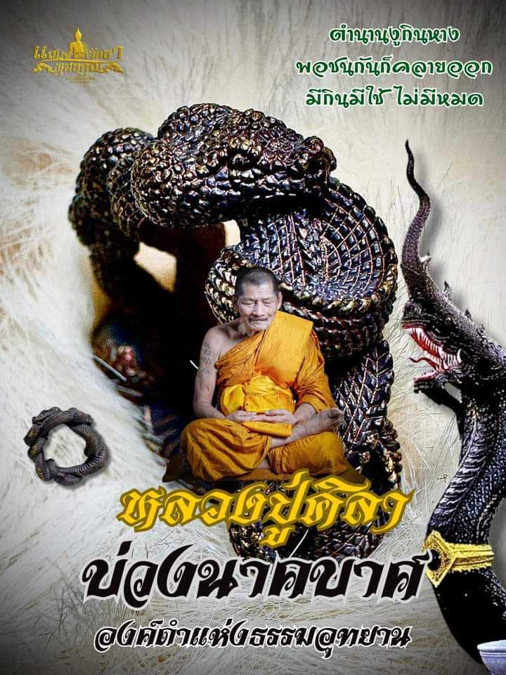 บ่วงนาคบาศ งูกินหาง นาคดำกาฬสินธุ์ หลวงปู่ศิลา (พร้อมส่ง)