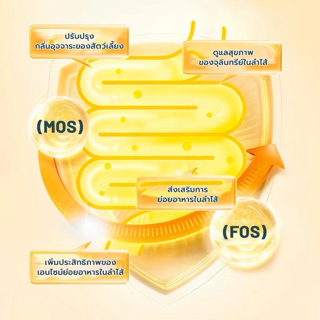 Bite of Wild Grain Free B45 โปรตีน 42% สูตรปลาทูน่า 1 Kg