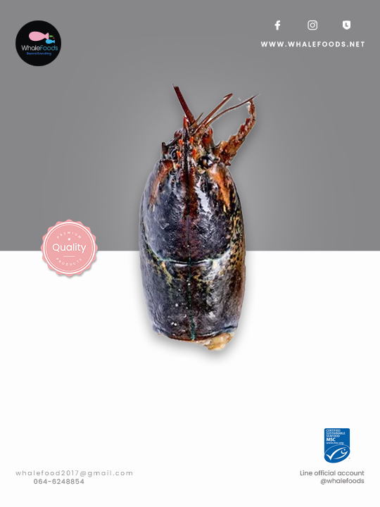 Frozen Raw Canadian Lobster Head 2 kg./pack