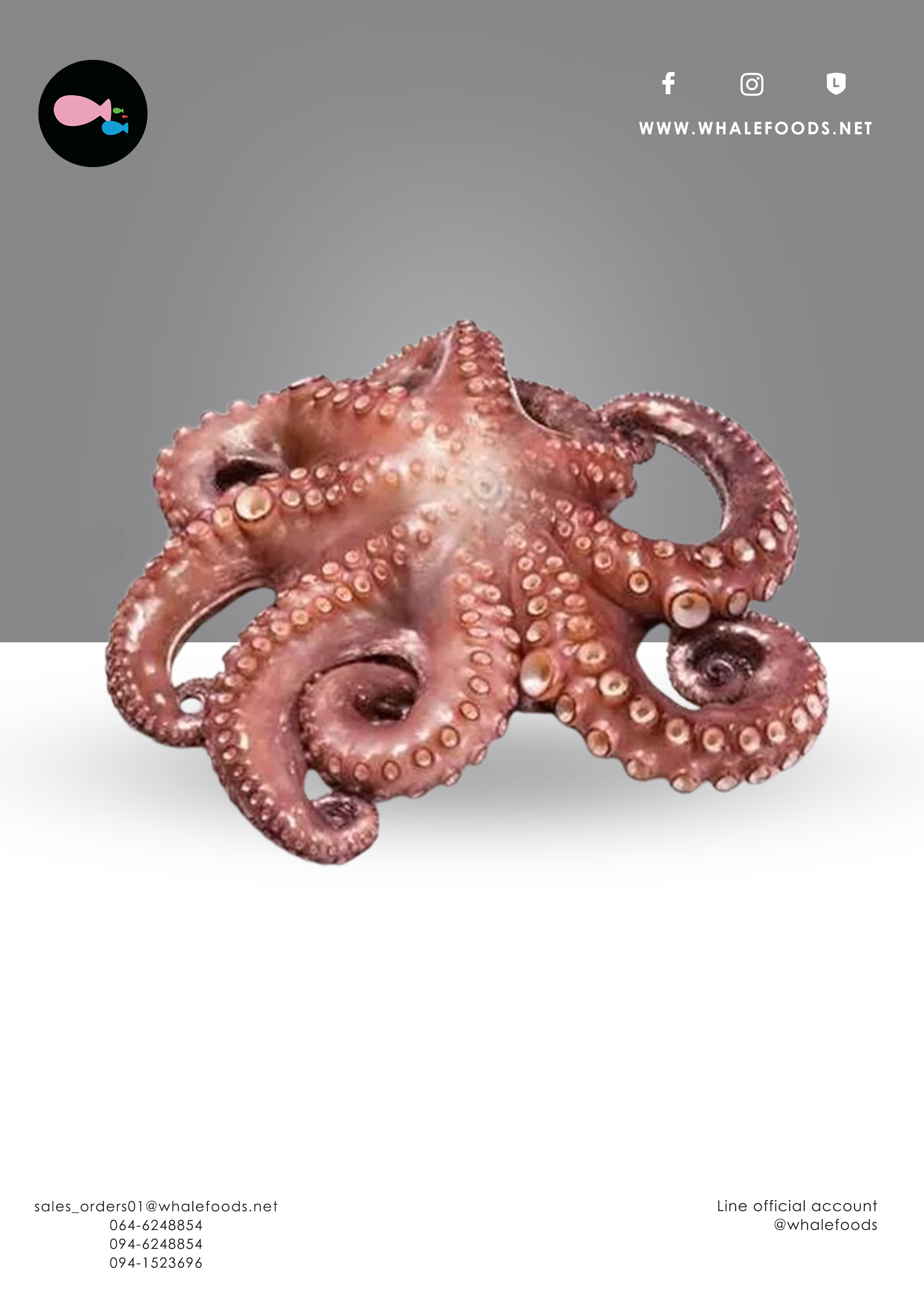 Octopus2