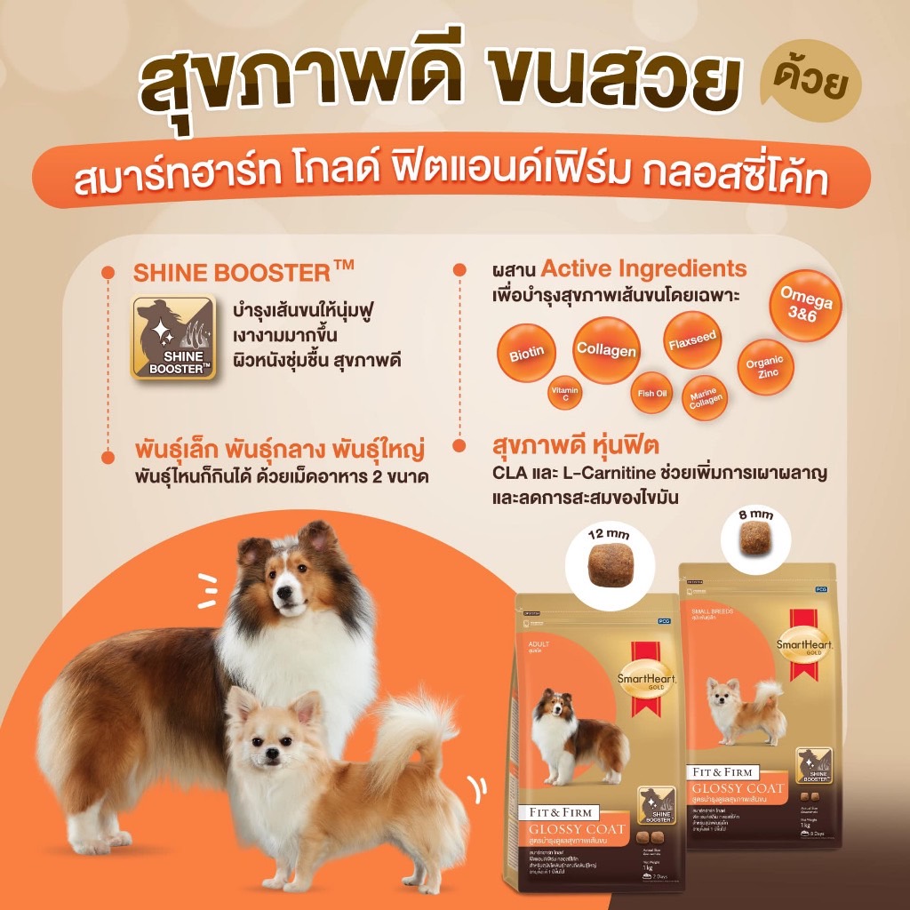 S/H Glod Fit & Firm Glossy สุนัขพันธุ์เล็กบำรุงขน 1 Kg
