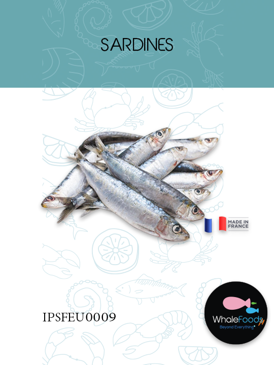 SARDINES