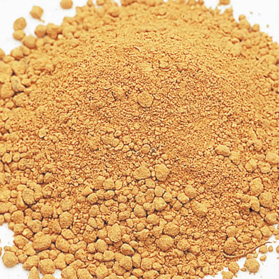 ADA Bactor 100 แบคทีเรียที่มีประโยชน์สำหรับตู้ไม้น้ำ