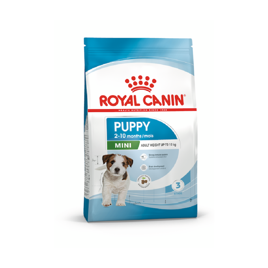 R/Y Mini Puppy ลูกพันธุ์เล็ก 2 Kg.