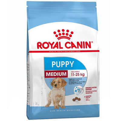 Medium Junoir ลูกสุนัขพันธุ์กลาง 1Kg.