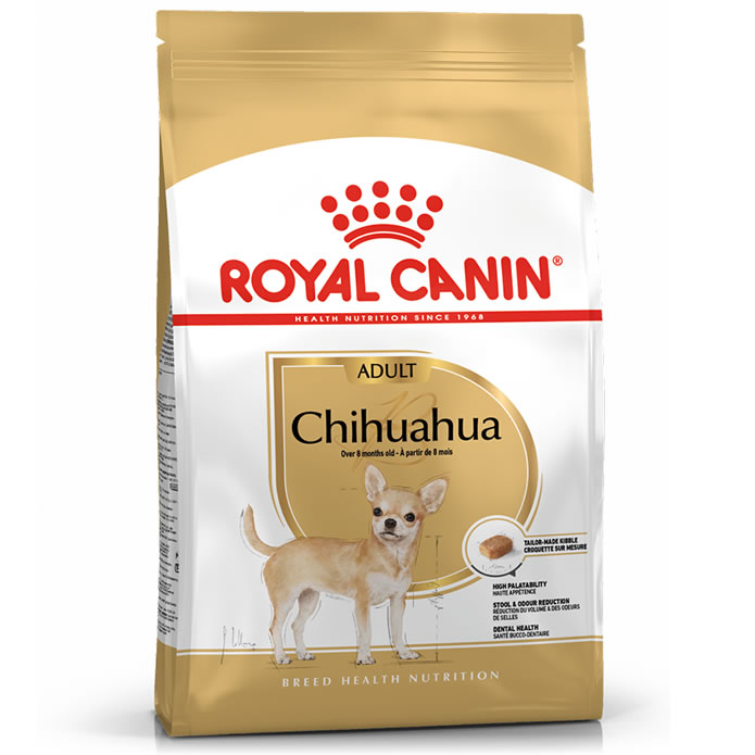 Chihuahua Adult ชิวาวา28โต 3 Kg.