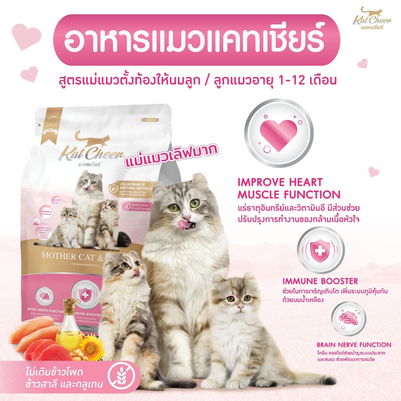 Kat Cheer แม่และลูกแมว 1.3 กิโลกรัม