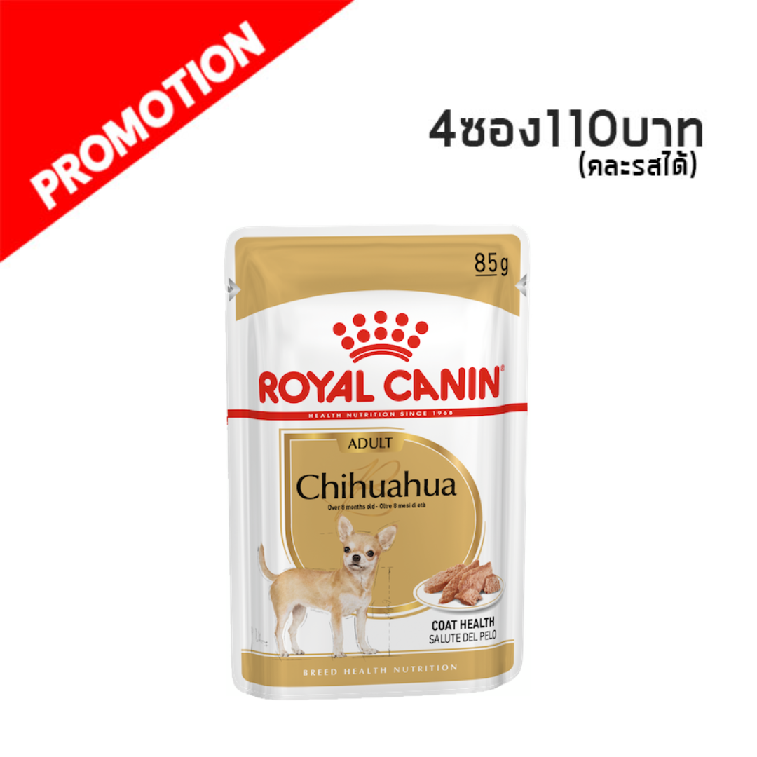 Chihuahua Adult 85 g.