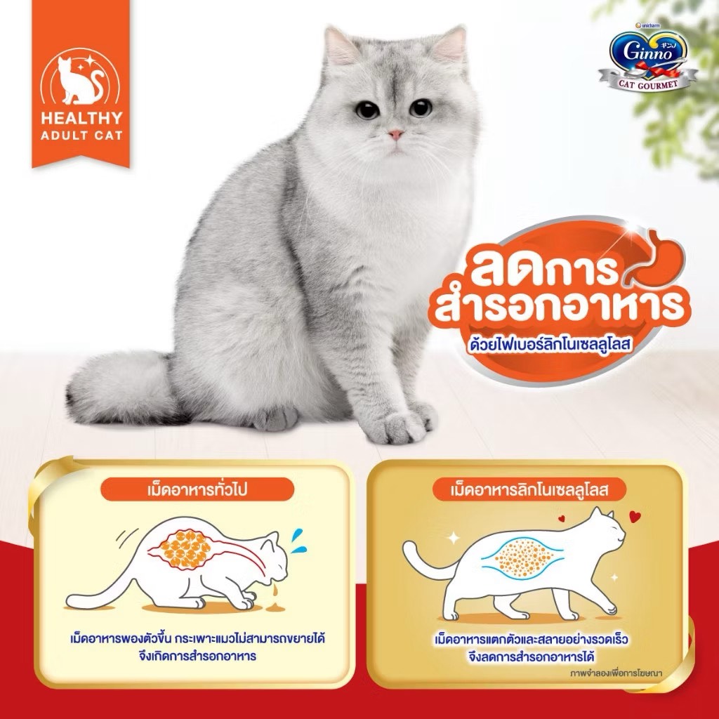 Ginno อาหารเม็ด สูตรดูแลลดการสำรอกอาหาร 1.3 กิโล