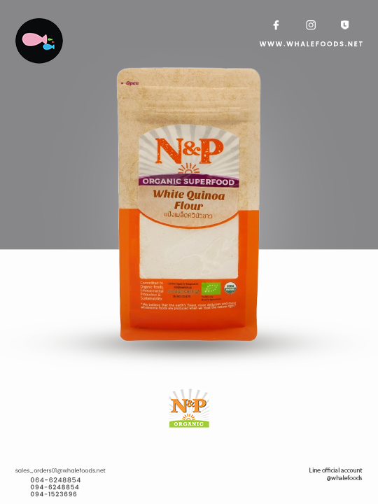 white quinoa flour