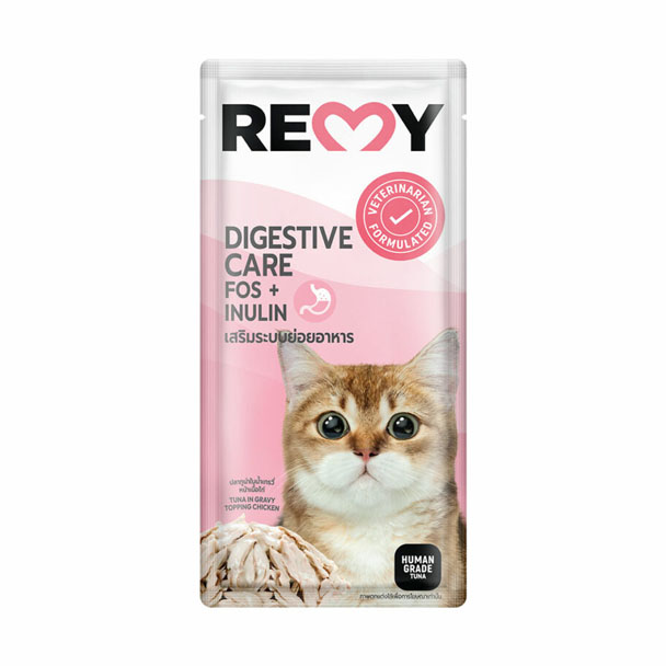 Remy Digestive Care เสริมระบบย่อยอาหาร 70 กรัม