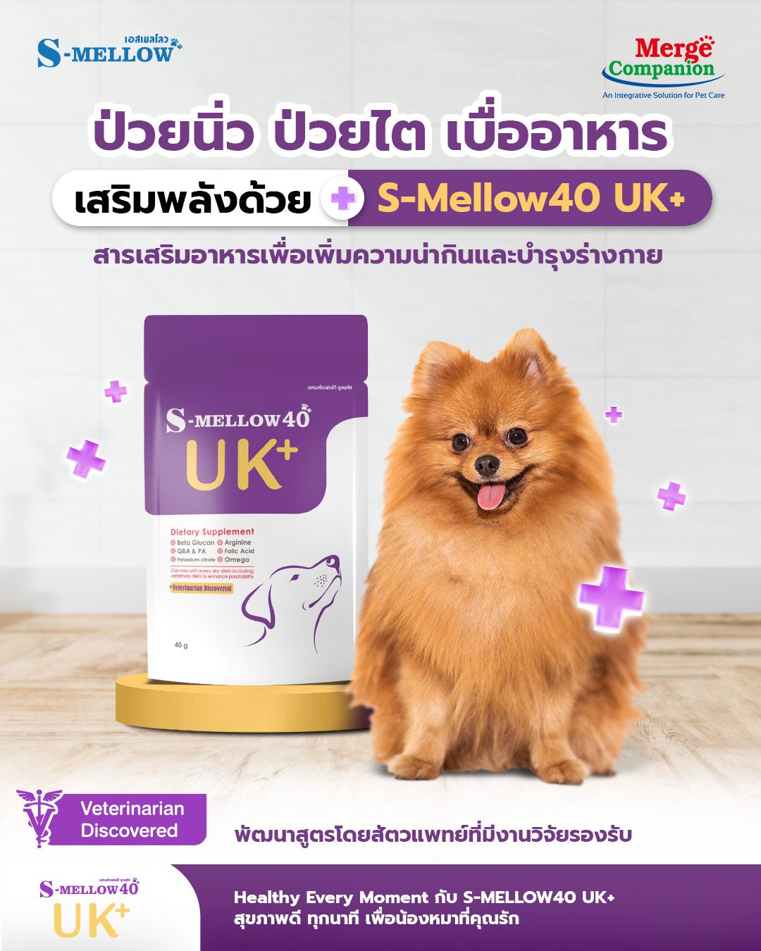 S-Mellow40 UK+ เอสเมลโลวฟอร์ที ยูเคพลัส(สำหรับสุนัข) 40g.