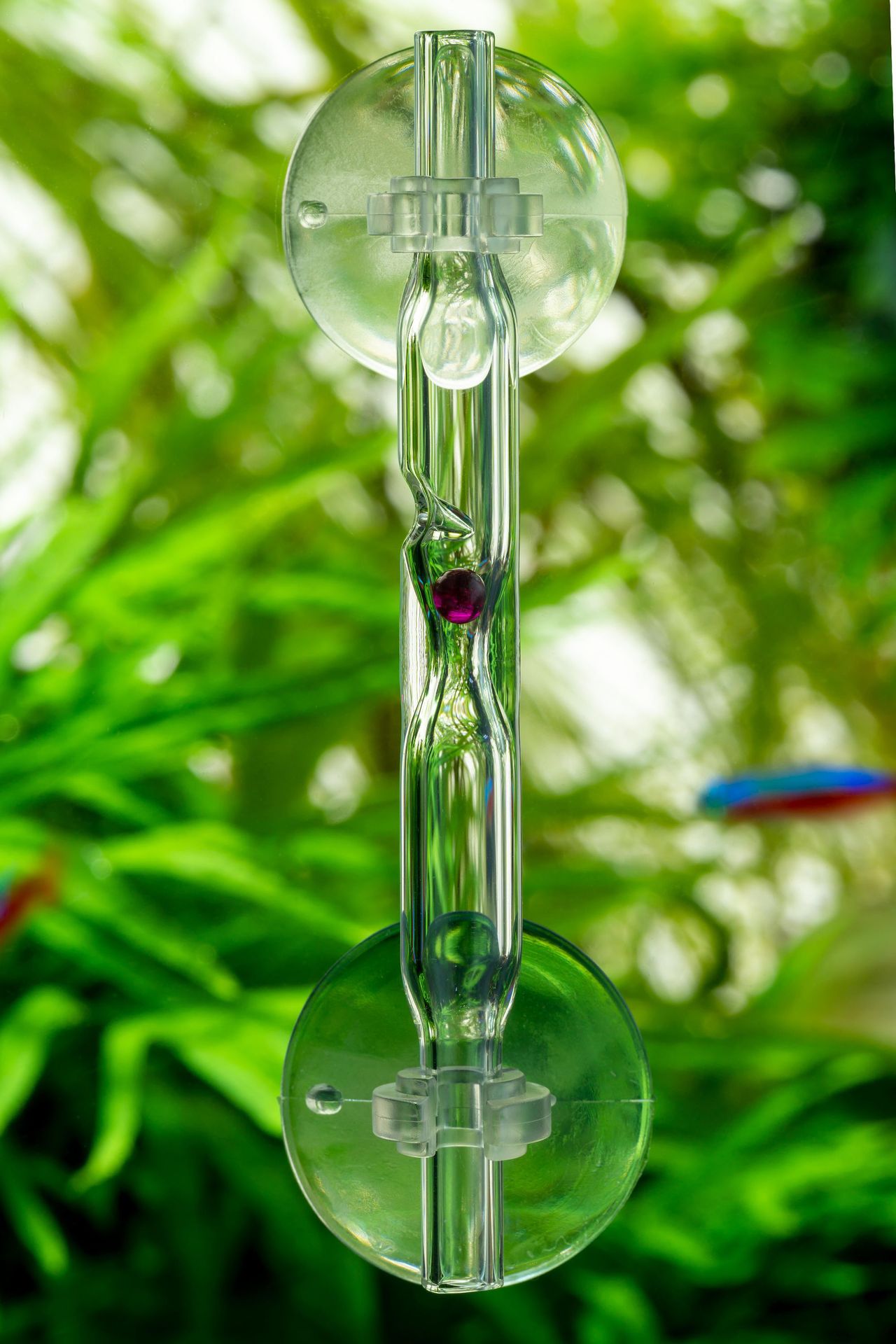 นับฟอง เม็ดทับทิม CO2 คราฟมือ Hi-End สุดเท่ ยี่ห้อ NAE