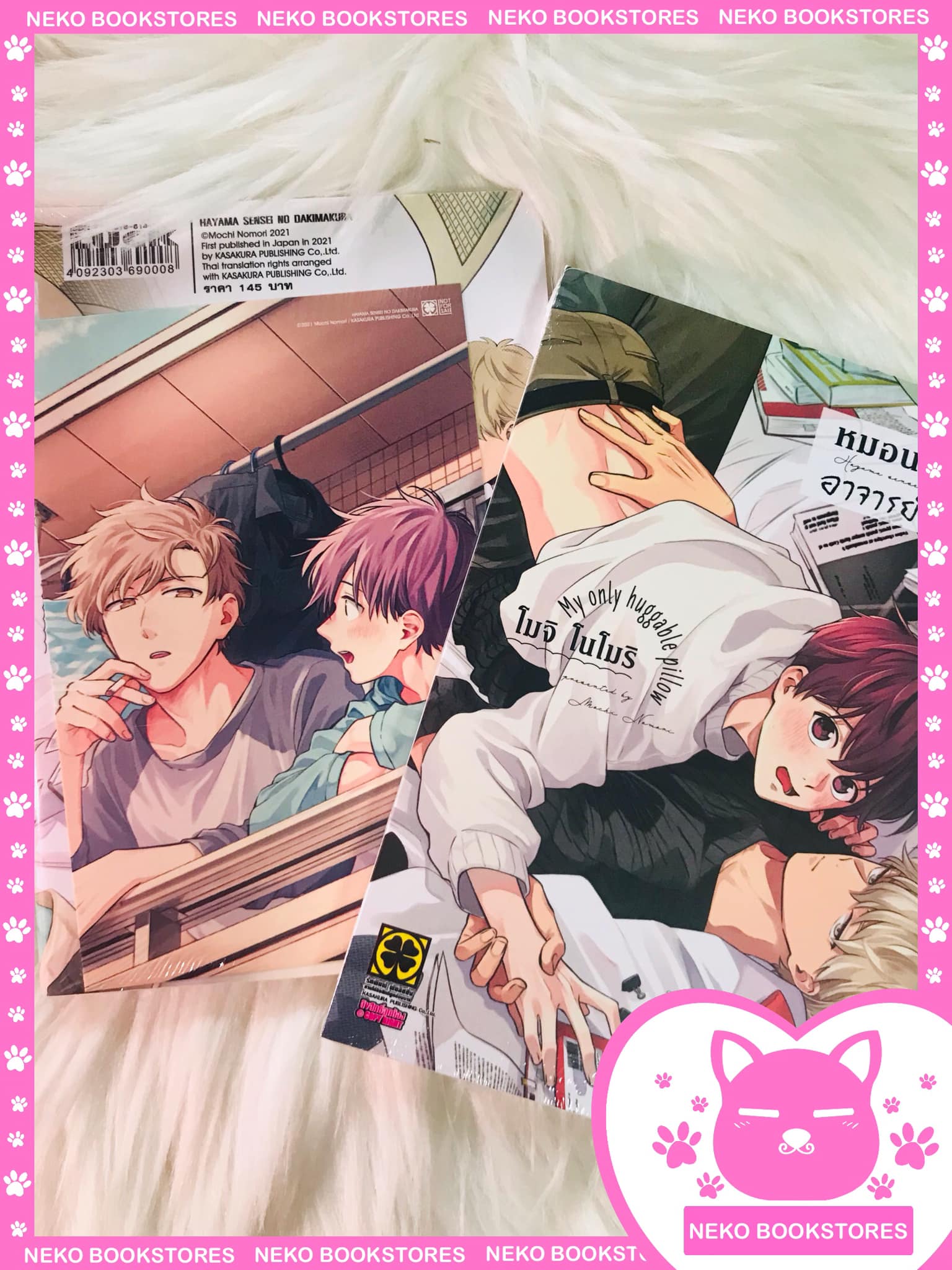 หมอนข้างของอาจารย์ฮายามะ (เล่มเดียวจบ) + โปสการ์ด