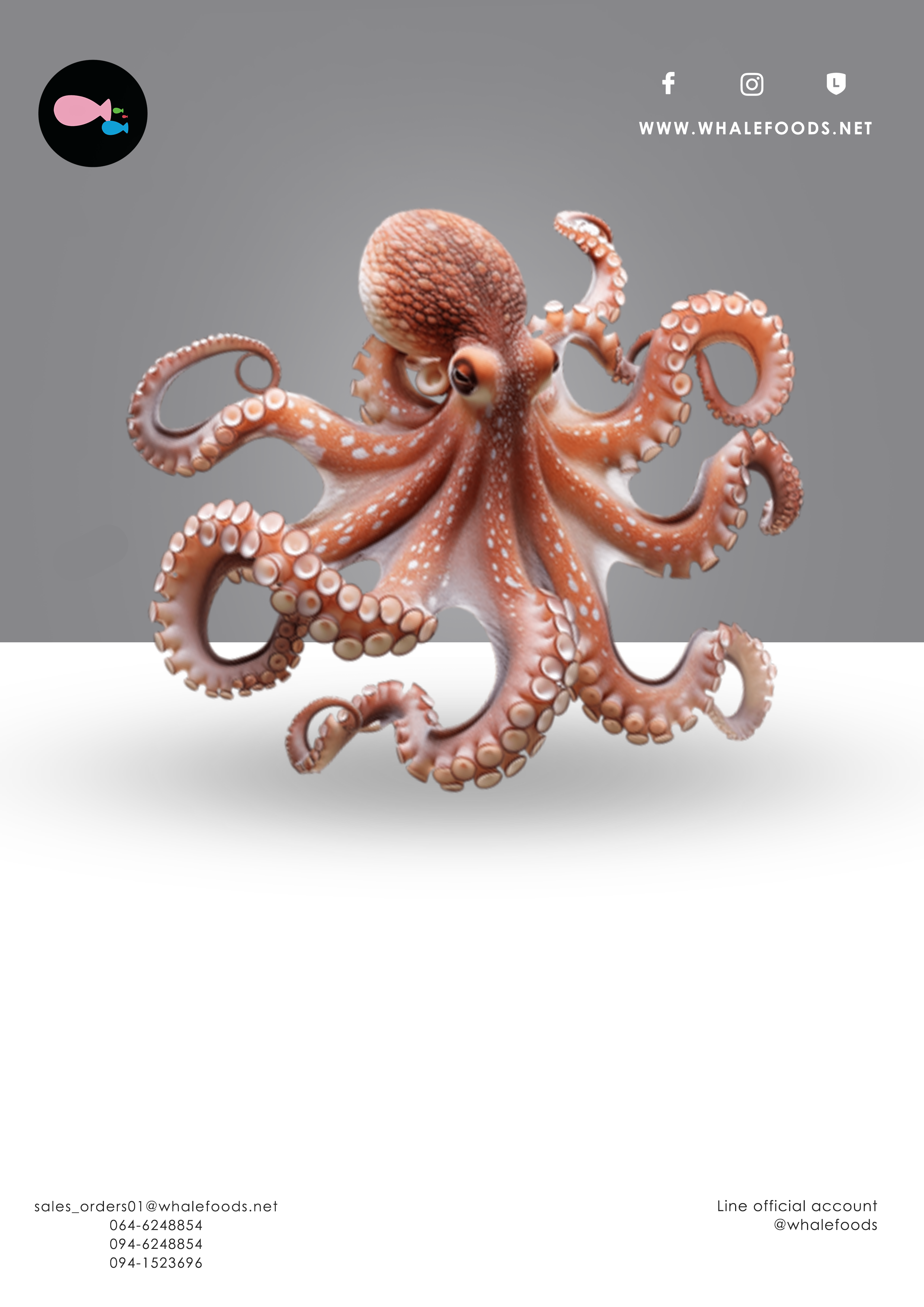 Octopus1