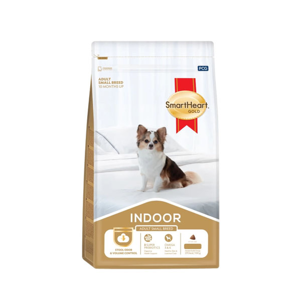 S/H Gold Indoor โต - พันธุ์เล็ก 1 Kg
