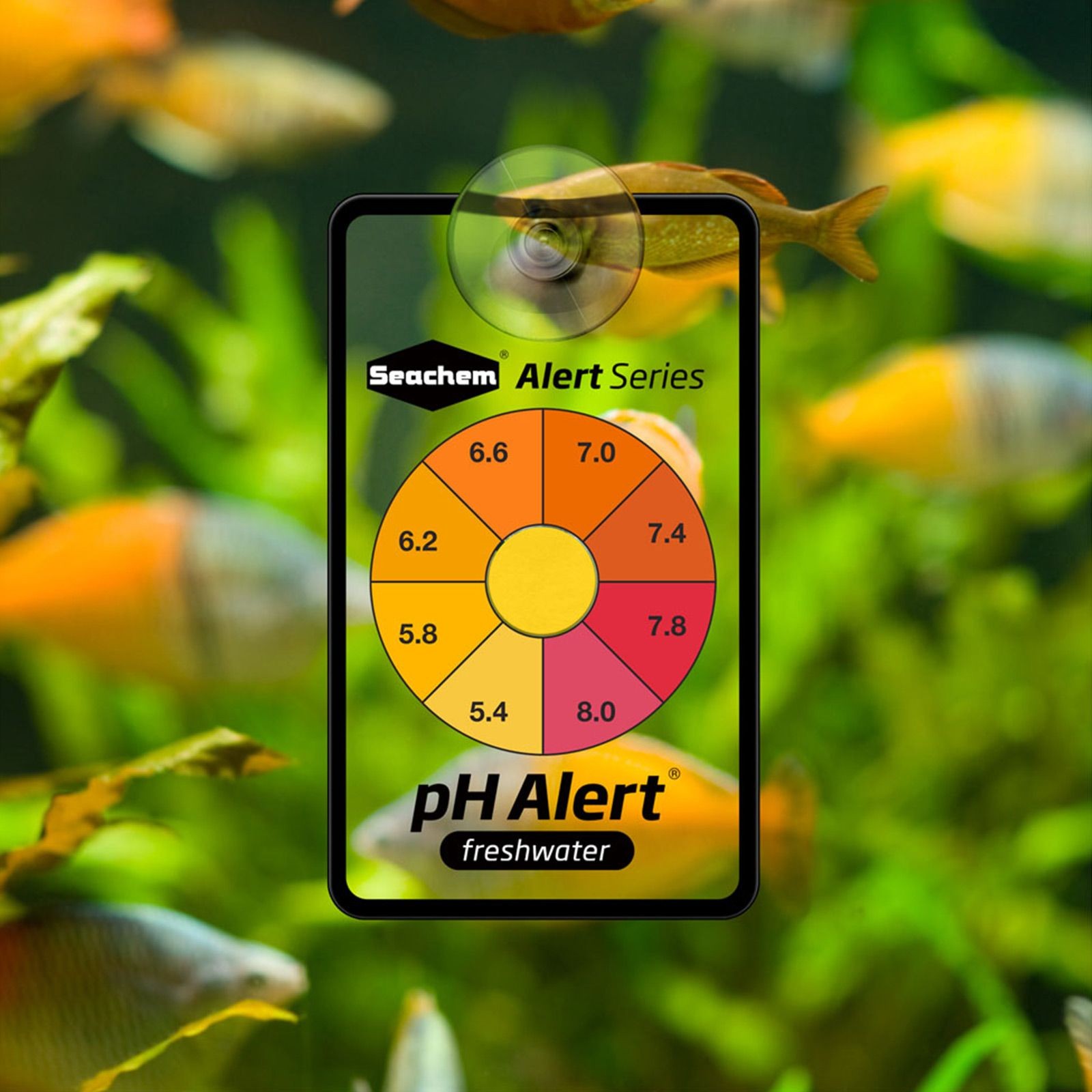 Seachem pH Alert แถบเตือนวัดค่า PH ชนิดติดตู้ปลาน้ำจืด ตู้ไม้น้ำสวยงาม