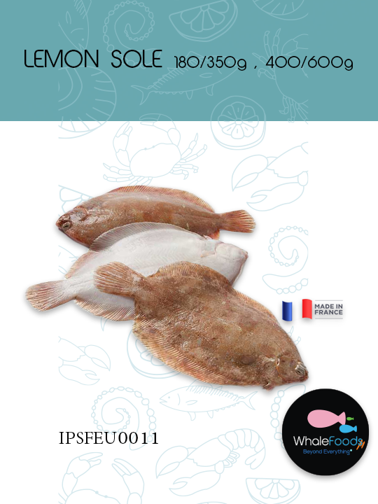 LEMON SOLE