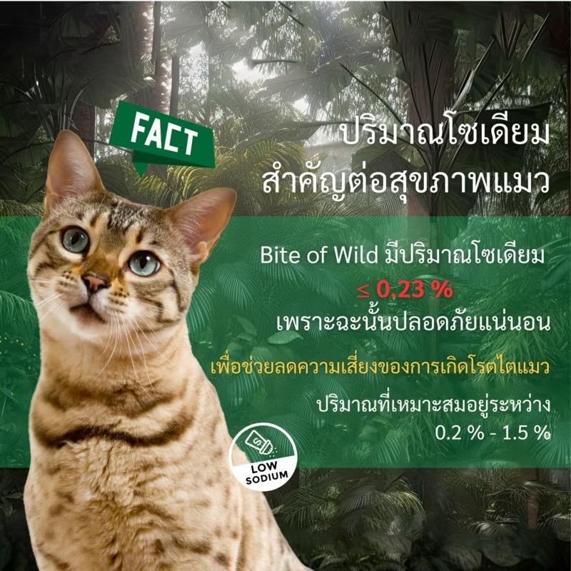 Bite of Wild Grain Free โปรตีน 42% จากเนื้อไก่และปลาแซลมอน 1 Kg