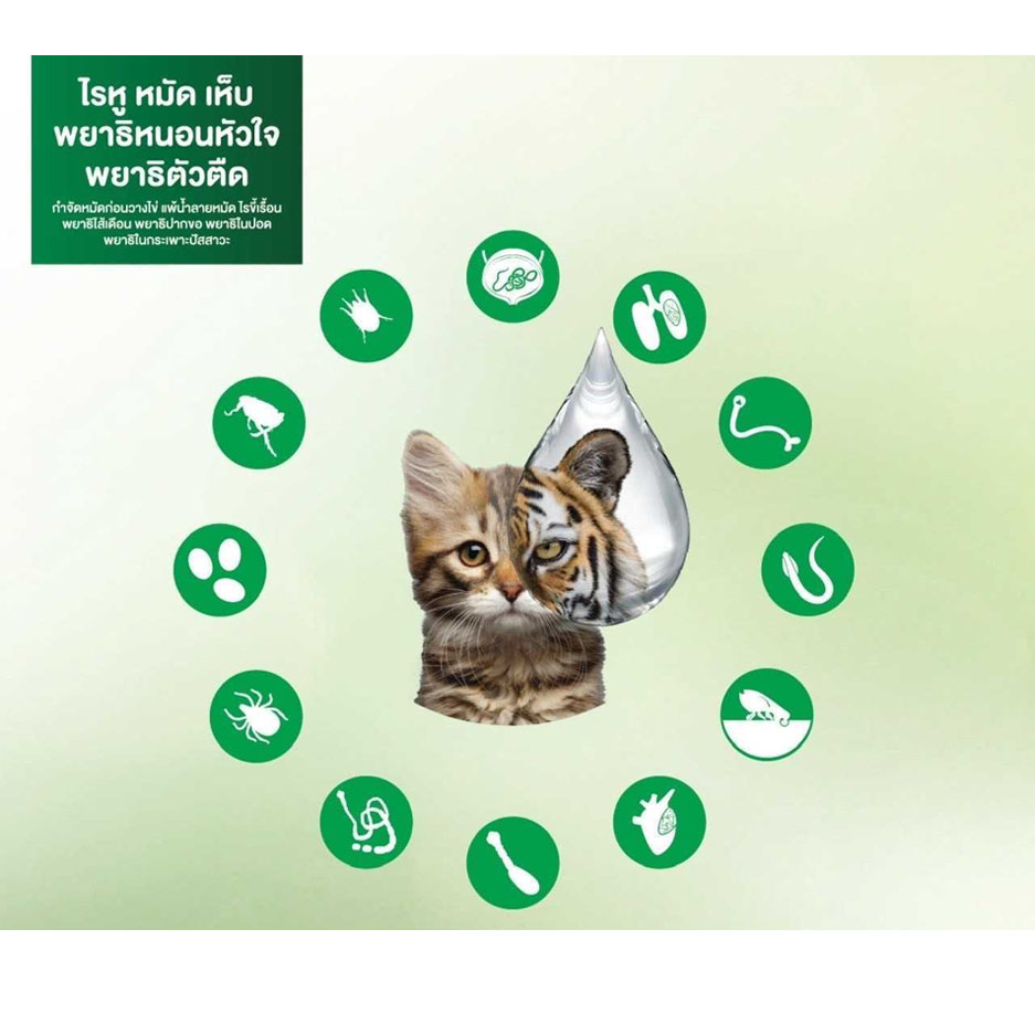 เน็กการ์ด คอมโบ (แมว) 2.5 - 7.5 Kg **ราคาต่อ1หลอด**