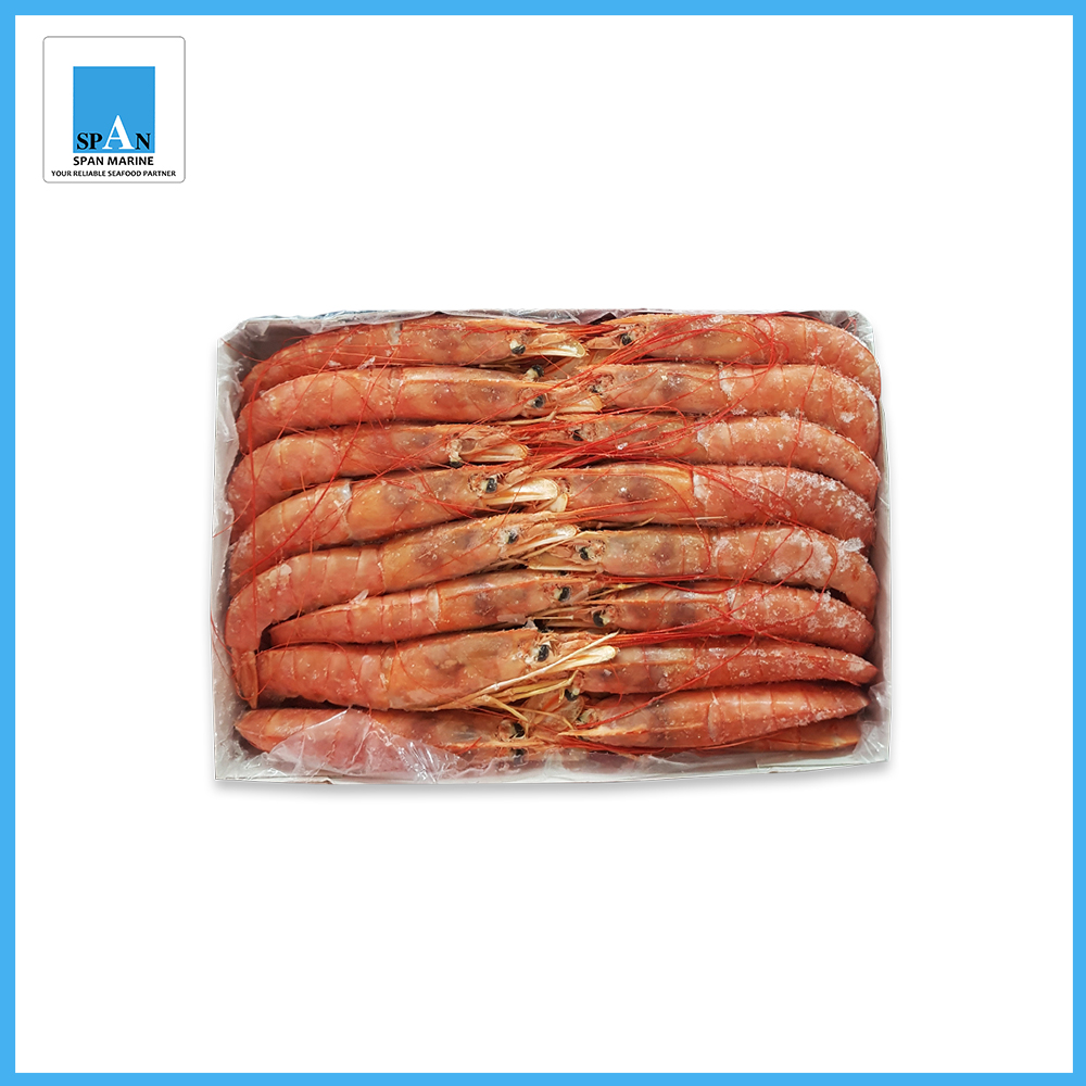 กุ้งแดงอาร์เจนติน่า