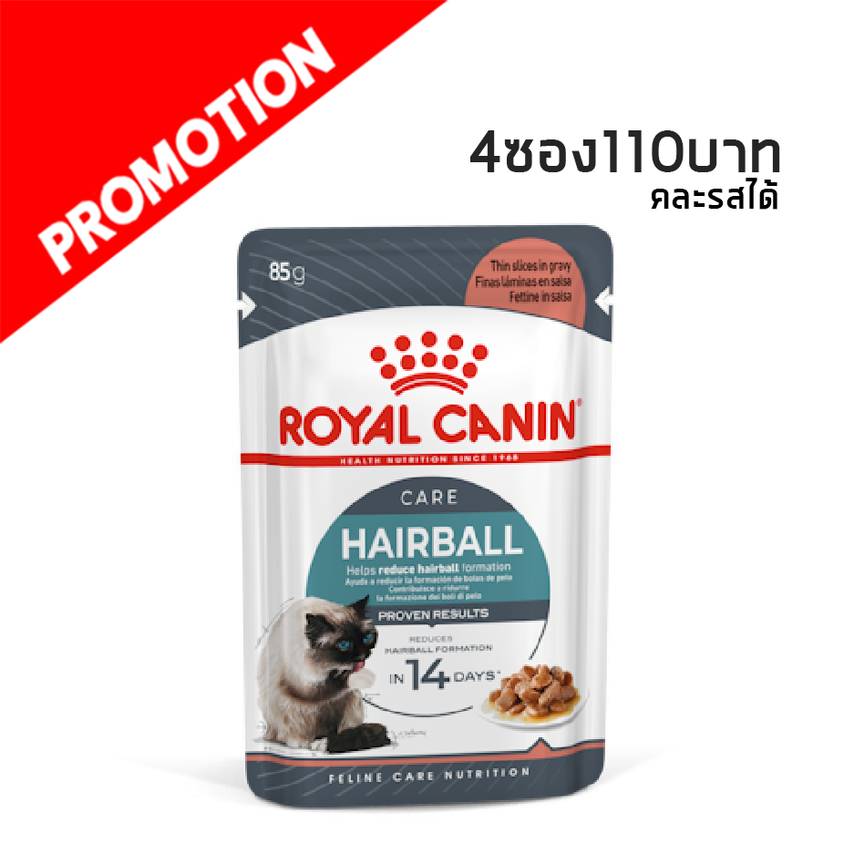 R/Y Hairball care Gravy 85 g ลดก้อนขน