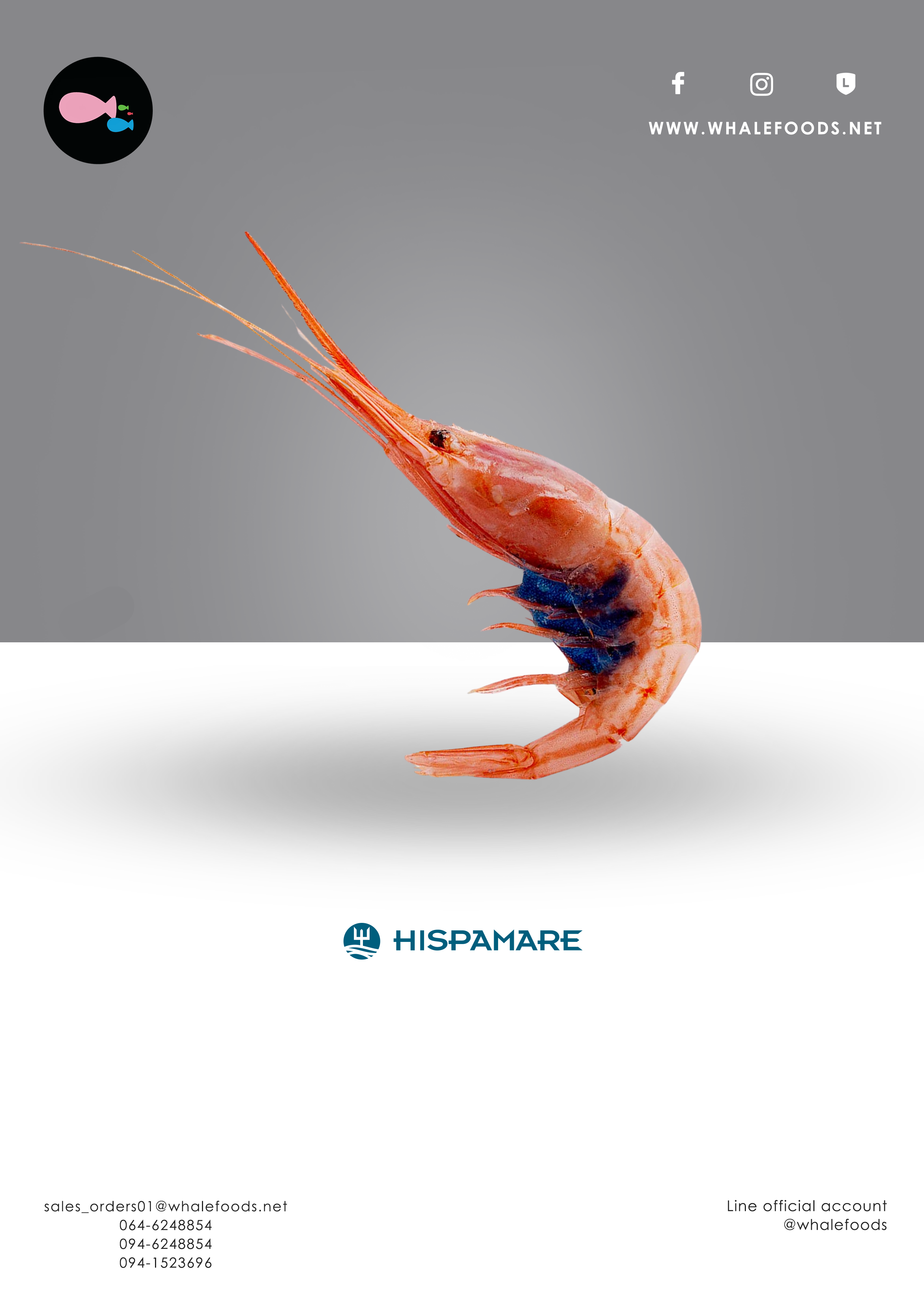 Blue Belly shrimp 1kg
