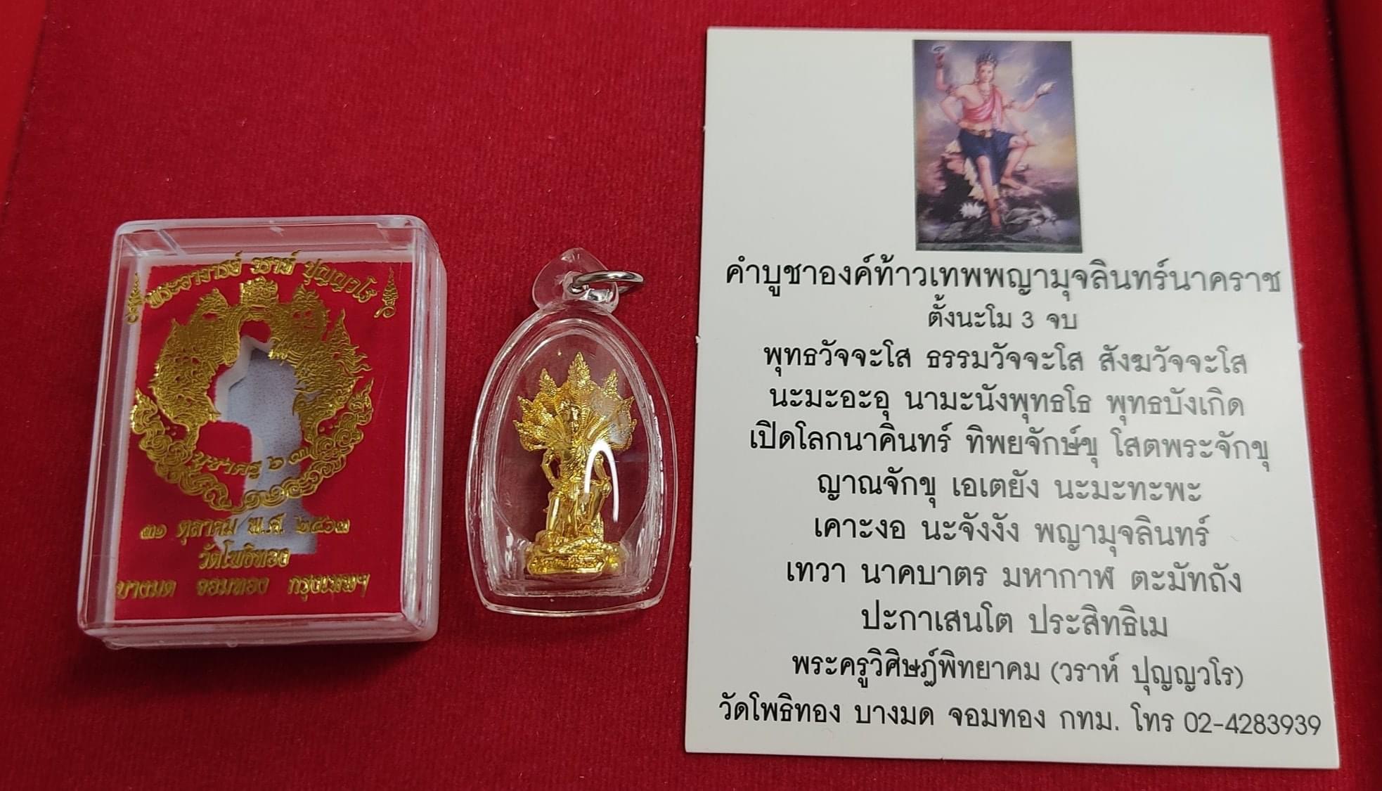 ท้าวเทพพญามุจรินทร์นาคราช ปี 63