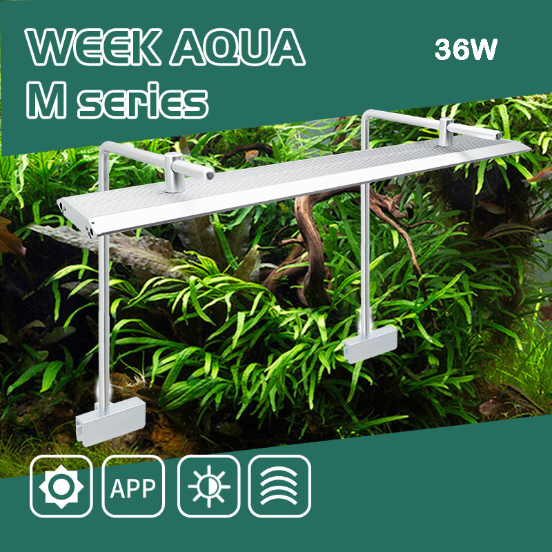 ใหม่ Week Aqua M Series 600 D Pro โคมไฟ RGB แบบรวมแสง ปรับตั้งค่าผ่านแอพพลิเคชั่น สำหรับไม้น้ำ ไม้อวบน้ำ ฮาโวเทีย ไทลอป