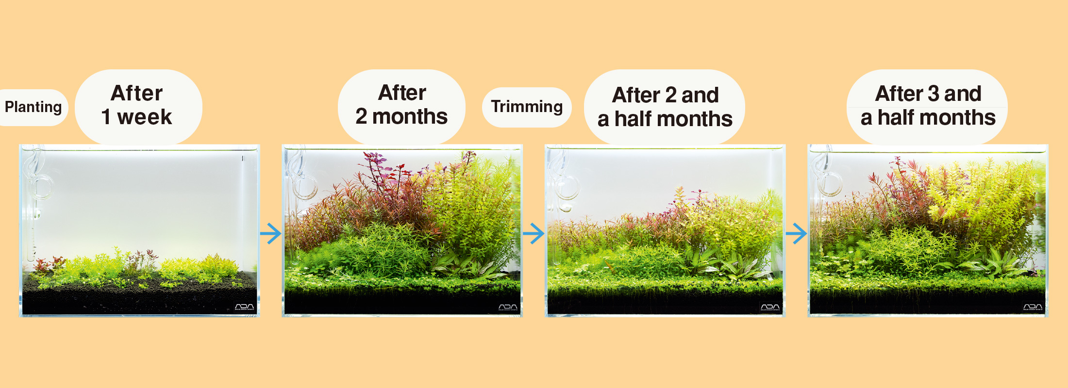 ดินปลูกไม้น้ำ ADA Aamazonia2 Ver.2 9L