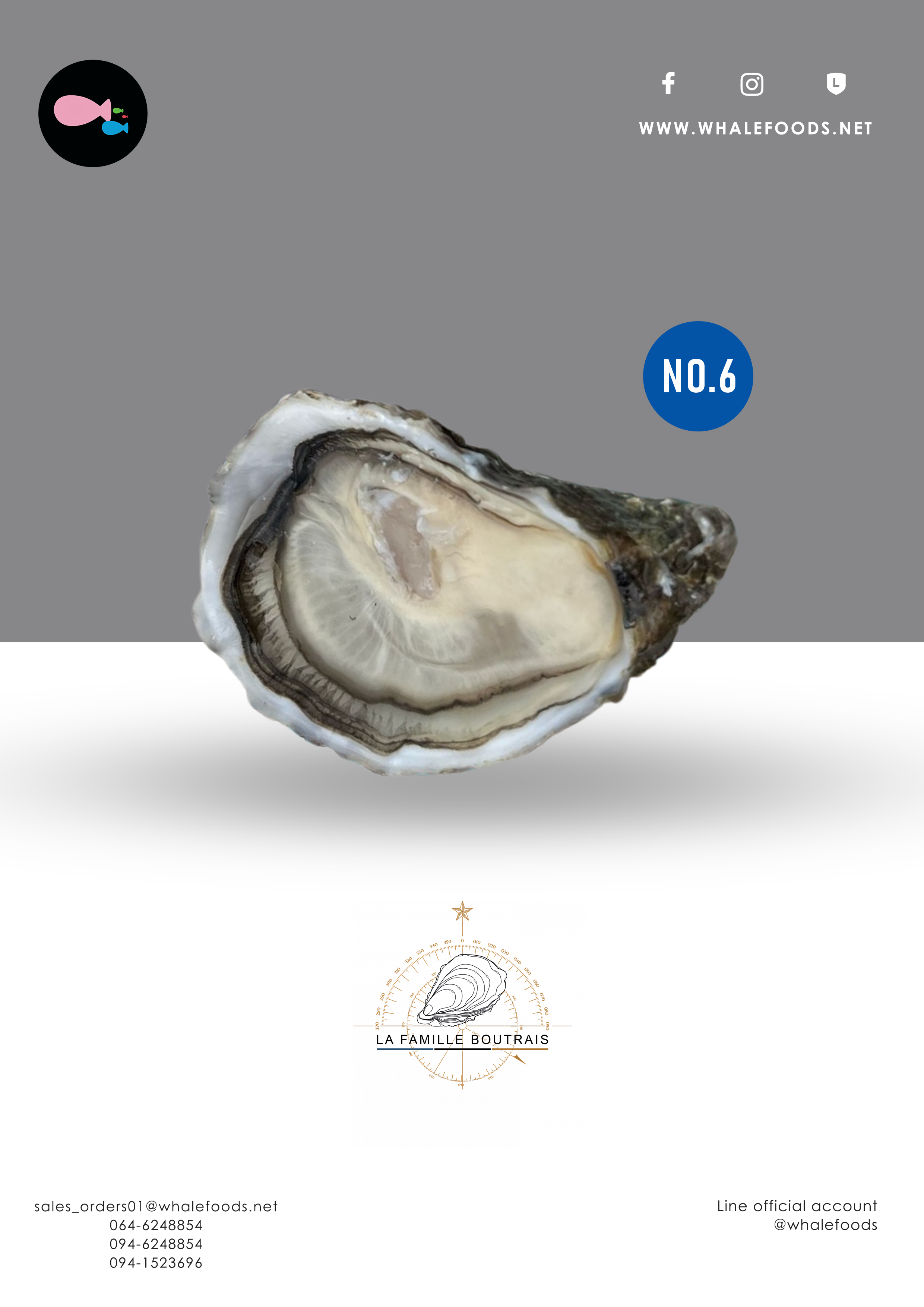Amulette Oyster -no.6