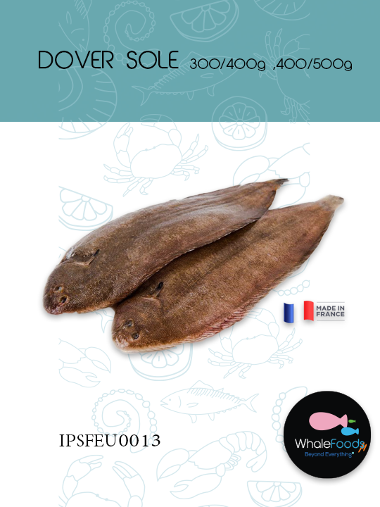 DOVER SOLE