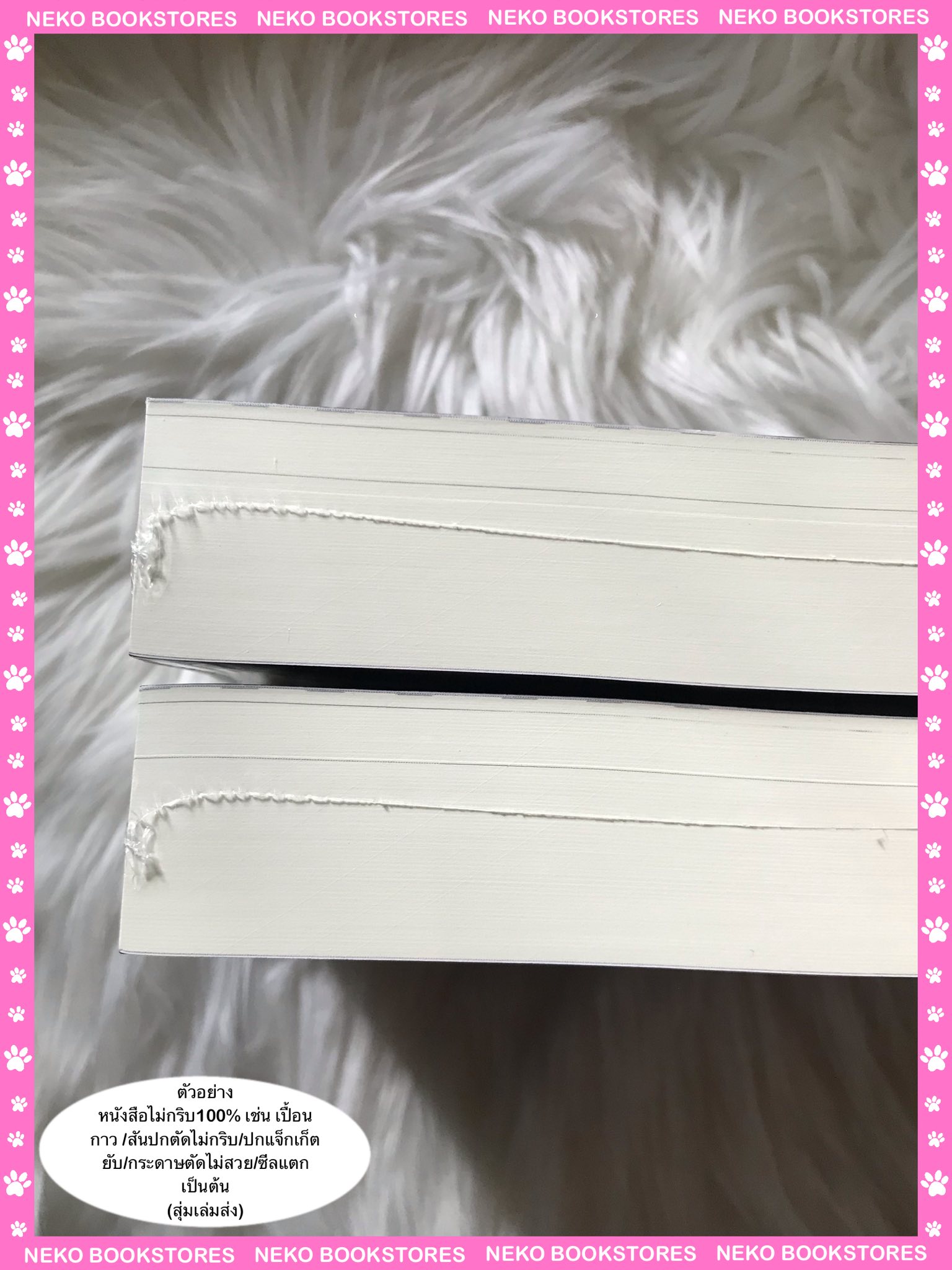 รุ่งสางของแมวจร (เล่มเดียวจบ)