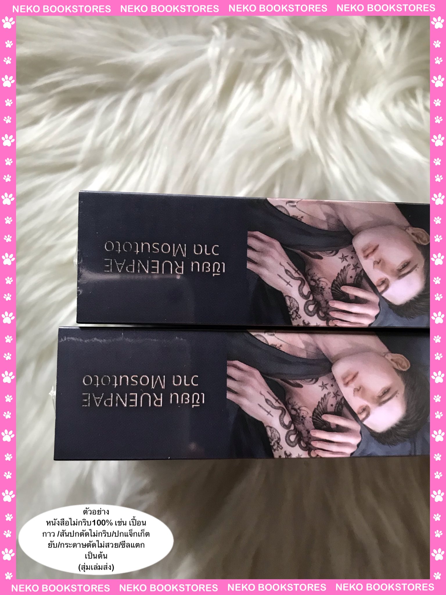 รุ่งสางของแมวจร (เล่มเดียวจบ)