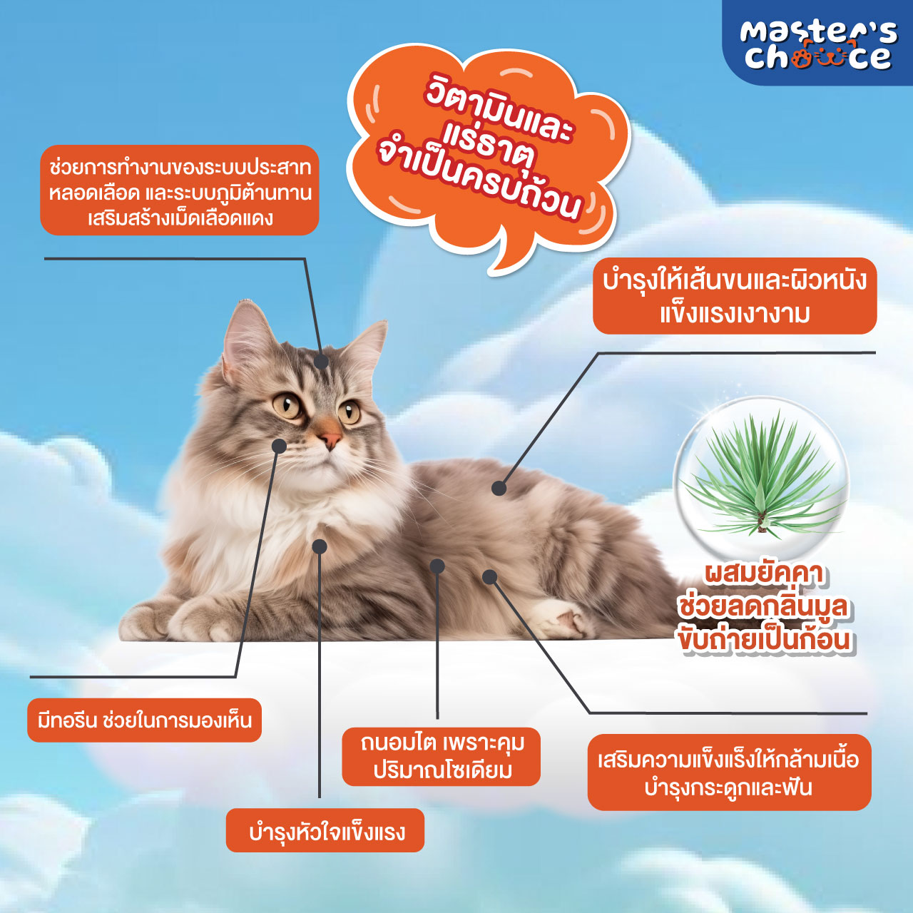 Master Choice อาหารแมว รสปลาทู 1 กิโลกรัม