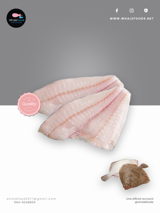 Farmed Turbot Filet 150/350 pcs./500g.+/-
